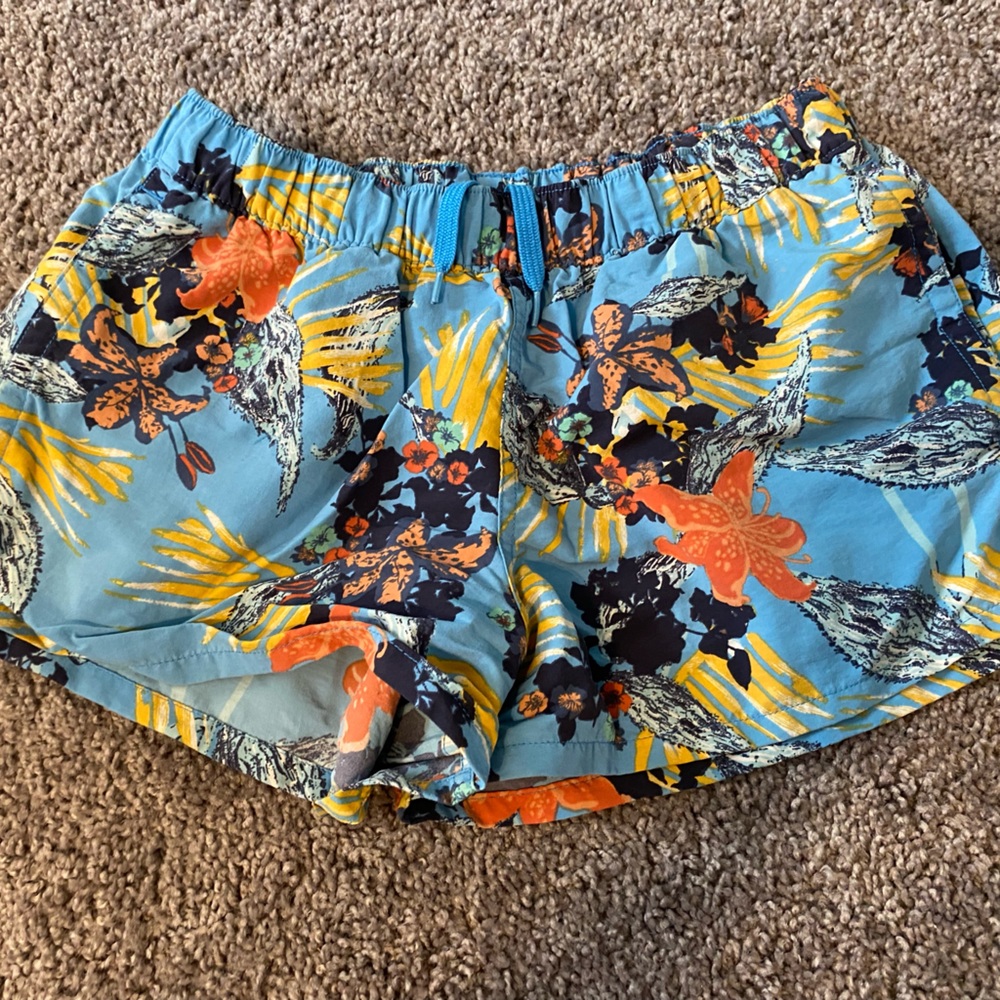 Patagonia Baggies shorts